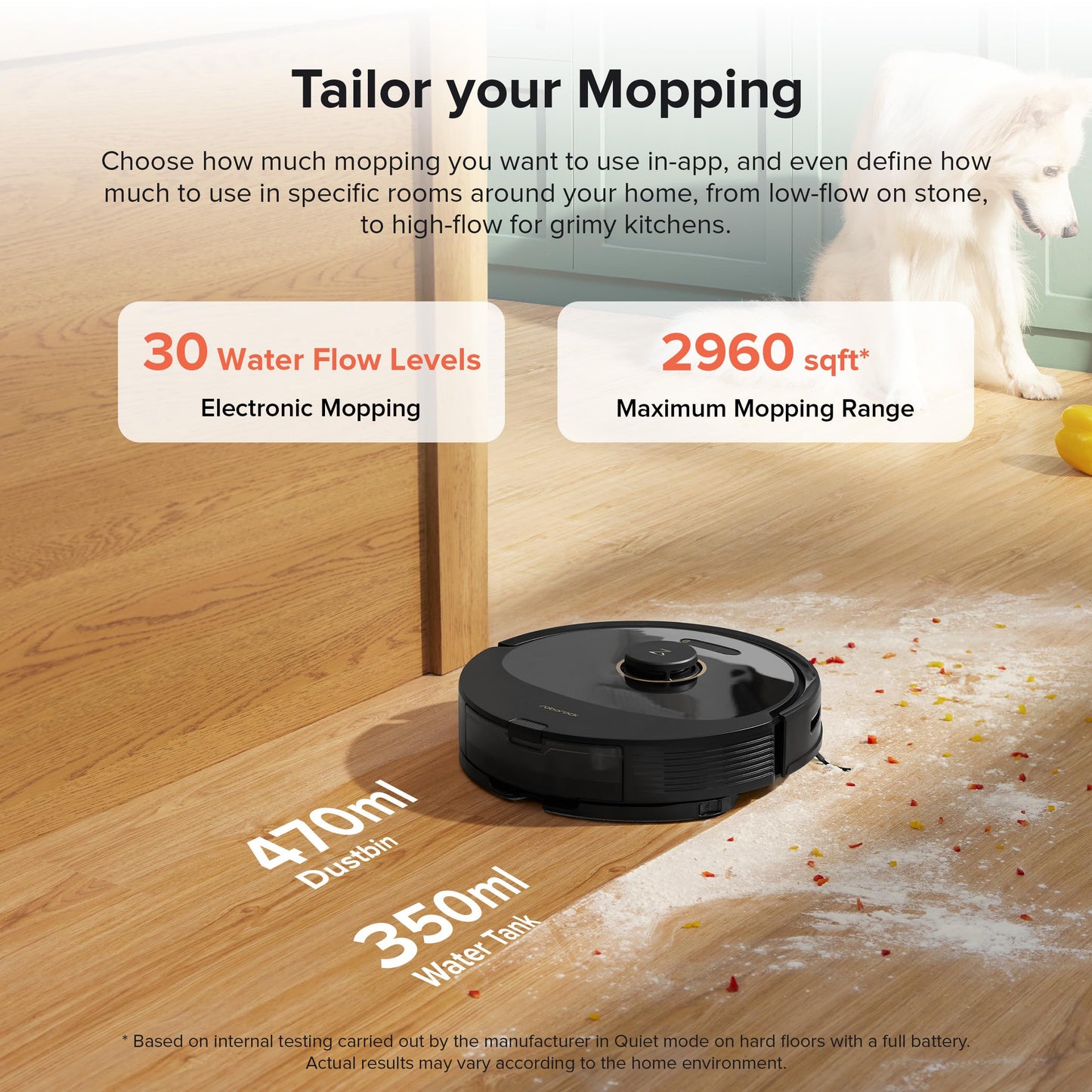 roborock Q8 Max+ Robot Vacuum and Mop