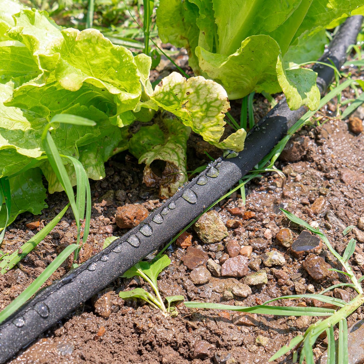 PHIRAH 100FT Drip Irrigation Soaker Hose