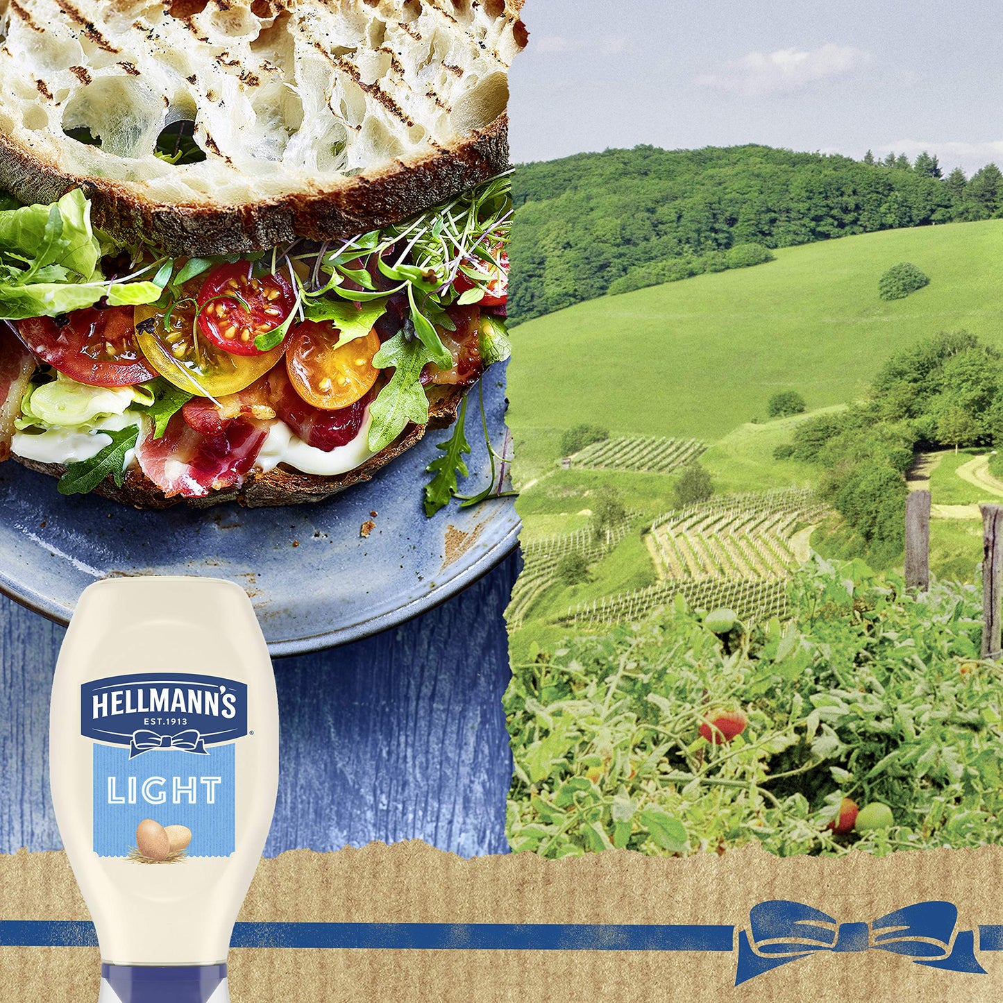 Hellmann's Light Mayonnaise Squeeze Bottle 20 oz Pack