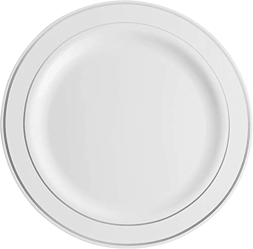 600 Piece Silver Dinnerware Set -100 Silver Rim 10 inch Plastic Plates 100 Silver Rim 7 Inch Plates -300 Silver Plastic Silverware -100 Silver Plastic Cups -100 Guest Disposable Silver Dinnerware Set