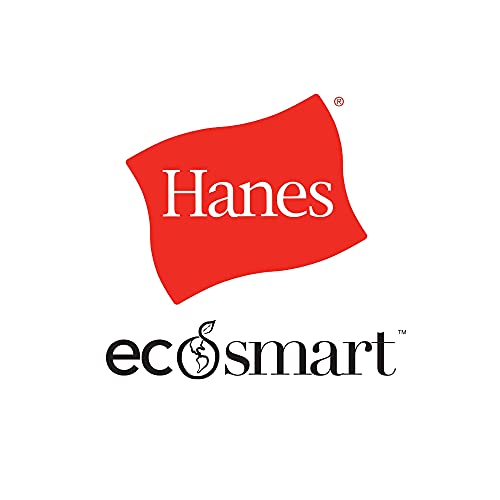 Hanes Men's Pullover EcoSmart Hooded Sweatshirt, white, Medium