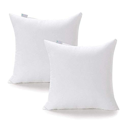 Acanva Premium Polyester Stuffer Square Form Sham Throw Pillow Inserts, 20 in(2 Count), White