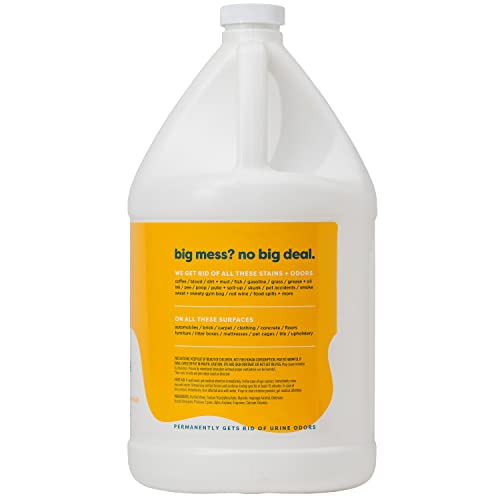 KIDS 'N' PETS - Instant All-Purpose Stain & Odor Remover – 128 fl oz (Packaging May Vary) - Permanently Eliminates Tough Stains & Odors – Even Urine Odors - No Harsh Chemicals, Non-Toxic & Child Safe