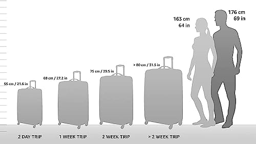 Travel Select Amsterdam Expandable Rolling Upright Luggage, Gray, 4-Piece Set