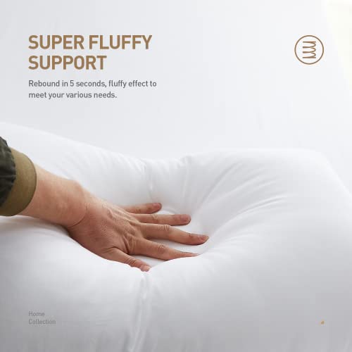 Acanva Premium Polyester Stuffer Square Form Sham Throw Pillow Inserts, 20 in(2 Count), White