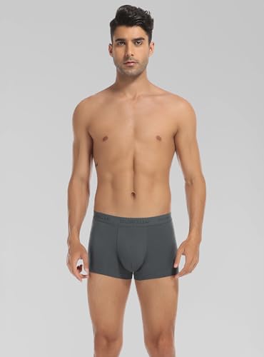 COLORFULLEAF Men's Bamboo Underwear Ultra Soft Comfy Breathable Bamboo Rayon Trunks in 4 Pack(4Dark Grey,Medium)