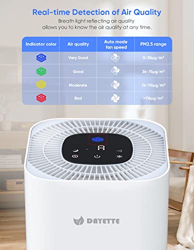 Dayette HEPA Air Purifiers for Home Large Room, CADR 300+mΒ³/h Up to 1290ftΒ² with Air Quality Sensor, H13 True HEPA Filter Remove 99.97% of Dust, Mold, Allergies, Odor, Pets Dander, Smoke, Pollen
