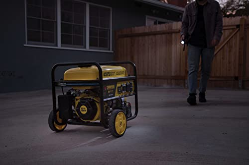 Champion Power Equipment 201181 4375/3500-Watt Remote Start Portable Generator, CO Shield