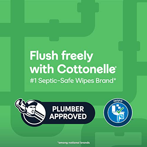 Cottonelle GentlePlus Flushable Wet Wipes with Aloe & Vitamin E, Adult Wet Wipes, 6 Flip-Top Packs, 42 Wipes per Pack (6 Packs of 42) (252 Total Flushable Wipes), Packaging May Vary