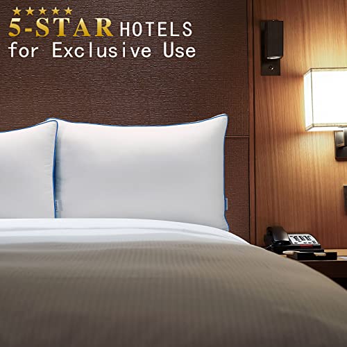 Bedufsar Bed Pillows for Sleeping, Queen Size Pillows Hotel Quality Set of 2, Firm and Supportive Gusseted Pillows for Side and Back Sleepers, Cooling Down Alternative Fluffy Soft Pillow (20x30 in)