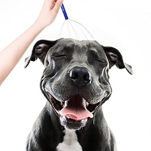 HOFASON Scalp Massager, Handheld Head Massager Tingler, Scratcher for Deep Relaxation, Hair Stimulation and Stress Relief (2 Pack, Random Colors)