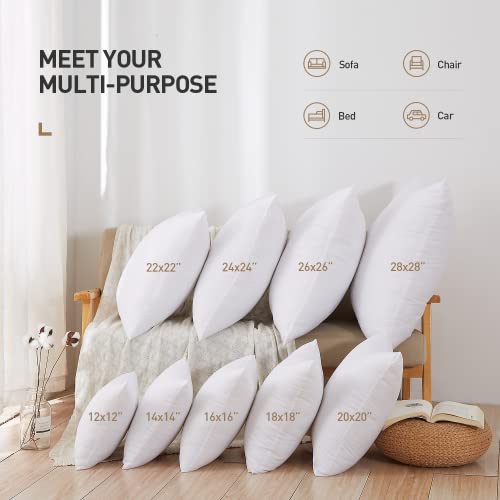 Acanva Premium Polyester Stuffer Square Form Sham Throw Pillow Inserts, 20 in(2 Count), White
