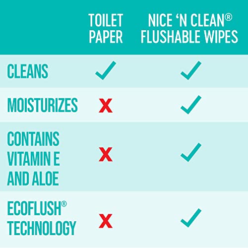 Nice 'N Clean Adult Flushable Wipes (3 x 60 Count) | Personal Cleansing Wipes Made from Plant-Based Fibers | Infused with Aloe & Vitamin E