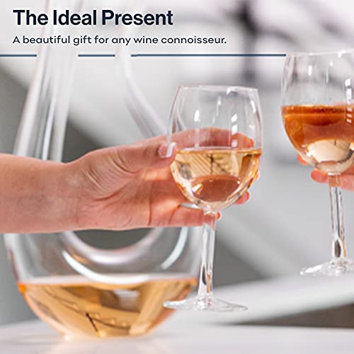 HiCoup Red Wine Decanter with Aerator - 750mL Crystal Glass Wine Carafe and Purifier for Home Bar