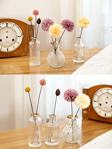 DN DECONATION 6Pcs Gold Rim Glass Bud Vases in Bulk, Gold Small Stem Bud Vase for Flowers Bulk Glass Vases Centerpiece for Tables Wedding Home Flower Decor