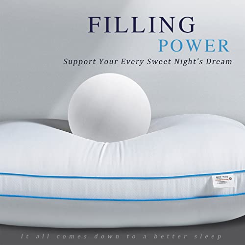 Bedufsar Bed Pillows for Sleeping, Queen Size Pillows Hotel Quality Set of 2, Firm and Supportive Gusseted Pillows for Side and Back Sleepers, Cooling Down Alternative Fluffy Soft Pillow (20x30 in)