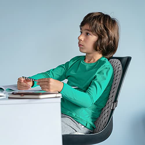 Bipintip Large Lumbar Support Pillow for Office Chair with Adjustable Strap and Washable Cover - Memory Foam Back Support for Back Pain Relief,Improve Posture,Desk Chair,Couch(Gray)