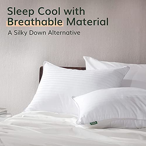 Fern and Willow Pillows for Sleeping - Set of 2 Queen Size Down Alternative Pillow Set w/Luxury Plush Cooling Gel for Side, Back & Stomach Sleepers