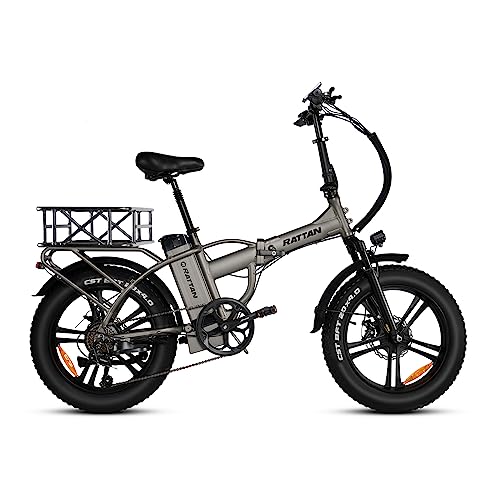 R RATTAN 750W Electric Bike for Adults 48V 13AH Removable Battery Foldable Electric Bikes LM/LF Pro Ebike 20'' x 4.0 Fat Tire Electric Bicycles 2 Seater (LM Gray, with Rear Basket)