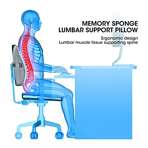 Bipintip Large Lumbar Support Pillow for Office Chair with Adjustable Strap and Washable Cover - Memory Foam Back Support for Back Pain Relief,Improve Posture,Desk Chair,Couch(Gray)