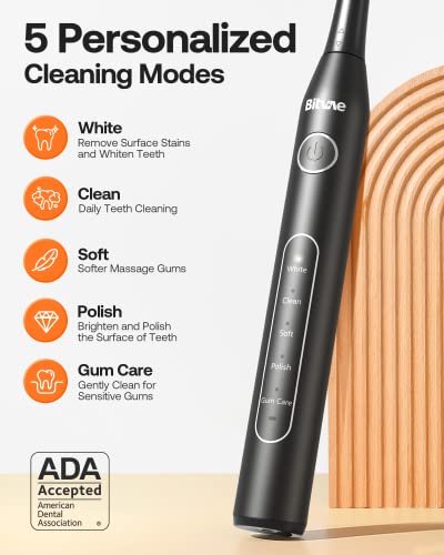 Bitvae Ultrasonic Electric Toothbrushes - Electric Toothbrush for Adults and Kids, American Dental Association Accepted, Rechargeable Travel Sonic Toothbrush with 8 Heads, Black D2