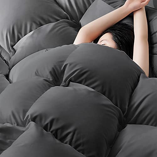 BEDHOURS Queen Comforter Set-3 Pieces Down Alternative Queen Size-All Season Reversible Comforter with 2 Pillow Shams-Corner Tabs Machine Washable (Dark Grey Queen)