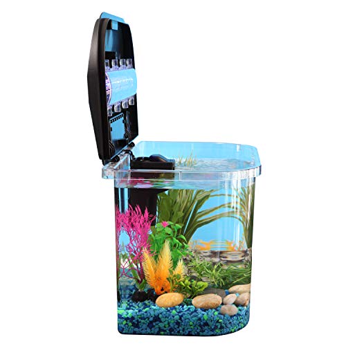 Koller Products 5-Gallon Aquarium Starter Kit with LED Lighting (7 Color Selections) and Power Filter, Ideal for a Variety of Tropical Fish