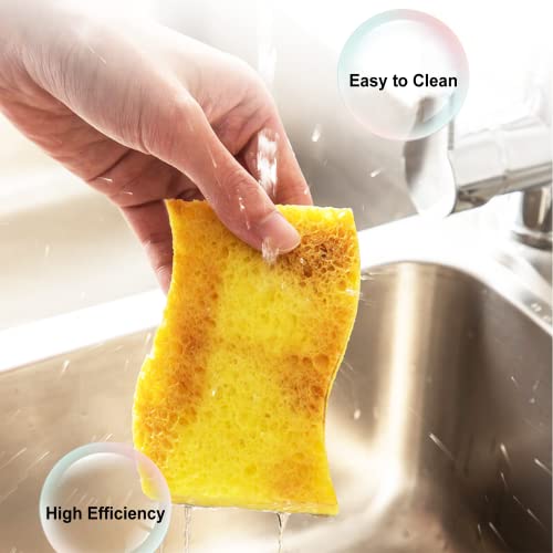 12-Count Kitchen Sponges- Compressed Cellulose Cleaning Sponges Non-Scratch Natural Sponge for Kitchen Bathroom Cars, Funny Cut-Outs DIY for Kids