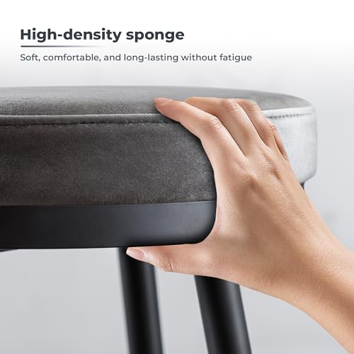 ELIASER 24“ Bar Stools Set of 2 for Kitchen Island, Counter Height Bar Stools Set of 2 Modern Velvet Armless, Swivel Round with Golden Metal Footrest for Dining Room Coffee Shop, Grey