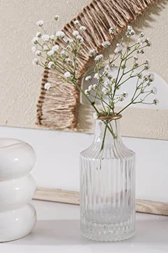 DN DECONATION 6Pcs Gold Rim Glass Bud Vases in Bulk, Gold Small Stem Bud Vase for Flowers Bulk Glass Vases Centerpiece for Tables Wedding Home Flower Decor