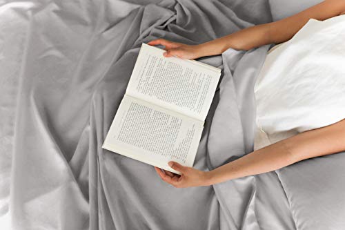 Queen Size Sheet Set - Breathable & Cooling - Hotel Luxury Bed Sheets - Extra Soft - Deep Pockets - Easy Fit - 4 Piece Set - Wrinkle Free - Comfy – Light Grey Bed Sheets - Queen Sheets – Fitted Sheets