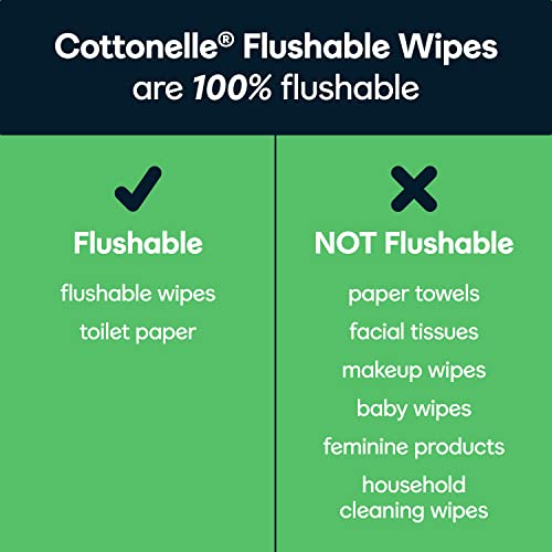 Cottonelle GentlePlus Flushable Wet Wipes with Aloe & Vitamin E, Adult Wet Wipes, 6 Flip-Top Packs, 42 Wipes per Pack (6 Packs of 42) (252 Total Flushable Wipes), Packaging May Vary
