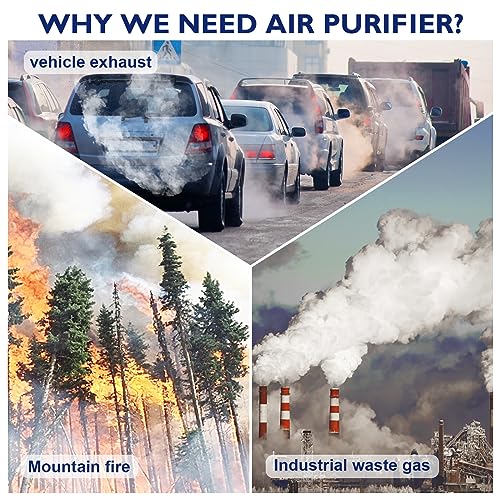 ToLife Air Purifiers for bedroom, HEPA Air Purifier for Home, Air Filters 99.97% Smoke Pollen Dander Dust, Portable Room Air Purifier with Low Noise Sleep Mode for Desktop Office, White