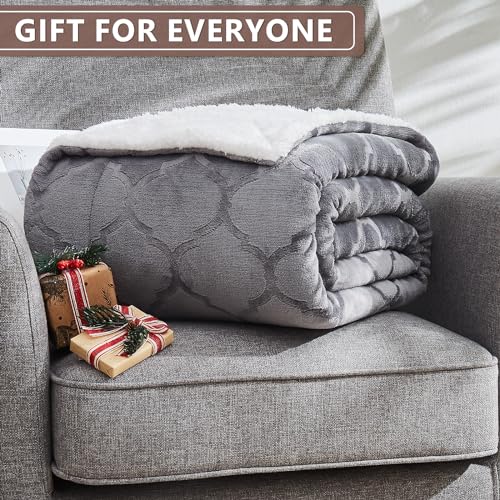 L'AGRATY Sherpa Throw Blanket - Plush Blanket for Bed - 50"x60" Soft Fleece Blanket - Comfy Fluffy Blanket for Chair and Couch - Warm Fuzzy Blanket for Gift(Light Grey)