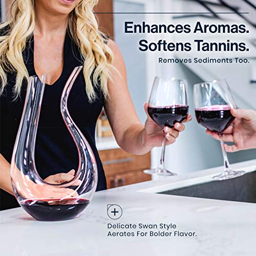 HiCoup Red Wine Decanter with Aerator - 750mL Crystal Glass Wine Carafe and Purifier for Home Bar