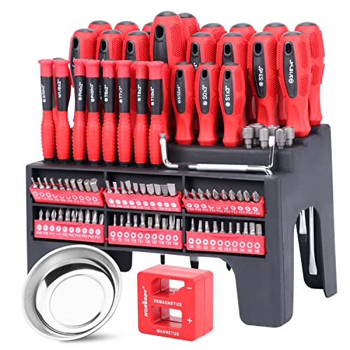 HORUSDY 102-Piece Magnetic Screwdriver Set with Plastic Racking, Includs Precision screwdriver and Magnetizer Demagnetizer DIY Tools for Men Tools Gift