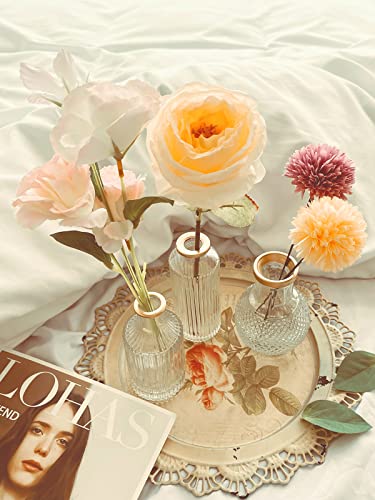 DN DECONATION 6Pcs Gold Rim Glass Bud Vases in Bulk, Gold Small Stem Bud Vase for Flowers Bulk Glass Vases Centerpiece for Tables Wedding Home Flower Decor