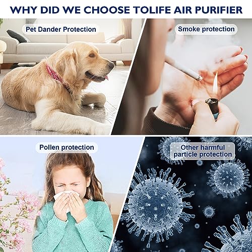 ToLife Air Purifiers for bedroom, HEPA Air Purifier for Home, Air Filters 99.97% Smoke Pollen Dander Dust, Portable Room Air Purifier with Low Noise Sleep Mode for Desktop Office, White
