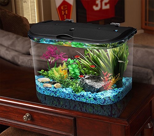 Koller Products 5-Gallon Aquarium Starter Kit with LED Lighting (7 Color Selections) and Power Filter, Ideal for a Variety of Tropical Fish