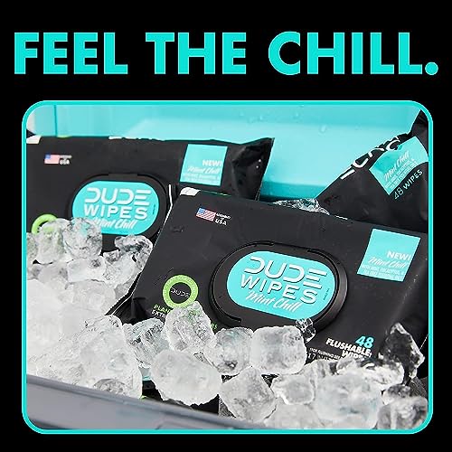 DUDE Wipes - Flushable Wipes - 3 Pack, 144 Wipes - Mint Chill Extra-Large Adult Wet Wipes - Vitamin-E, Aloe, Eucalyptus & Tea Tree Oils - Septic and Sewer Safe