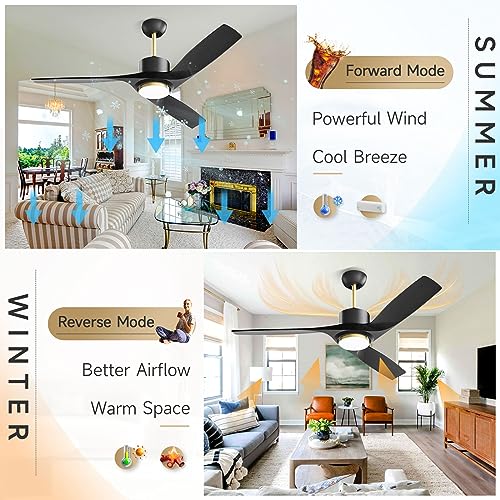 52 Inch Black Ceiling Fans with Lights Remote Control, Modern Large Outdoor Ceiling Fan with Dimmable LED Light, Reversible DC Motor, High CFM Outdoor Solid Wood Ceiling Fans for Patios Gazebo Bedroom