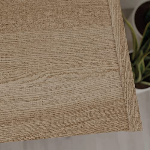 Sauder Beginnings Desk, L: 40.39" x W: 17.48" x H: 28.82", Summer Oak Finish