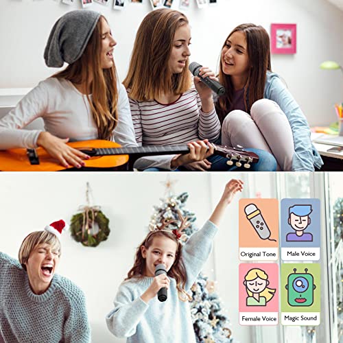 EARISE T28 Karaoke Machine for Adults and Kids, Portable Bluetooth Karaoke Speaker with 2 Wireless Microphones, PA Speaker System Singing Machine for Home Parties, Meetings, Indoors