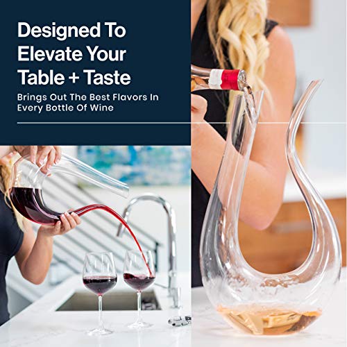 HiCoup Red Wine Decanter with Aerator - 750mL Crystal Glass Wine Carafe and Purifier for Home Bar