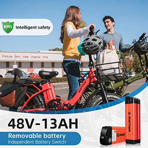 R RATTAN 750W Electric Bike for Adults 48V 13AH Removable Battery Foldable Electric Bikes LM/LF Pro Ebike 20'' x 4.0 Fat Tire Electric Bicycles 2 Seater (LM Gray, with Rear Basket)