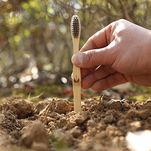 Isshah Biodegradable Eco-Friendly Natural Bamboo Charcoal Toothbrushes - 12 Count