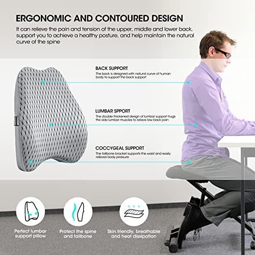 Bipintip Large Lumbar Support Pillow for Office Chair with Adjustable Strap and Washable Cover - Memory Foam Back Support for Back Pain Relief,Improve Posture,Desk Chair,Couch(Gray)