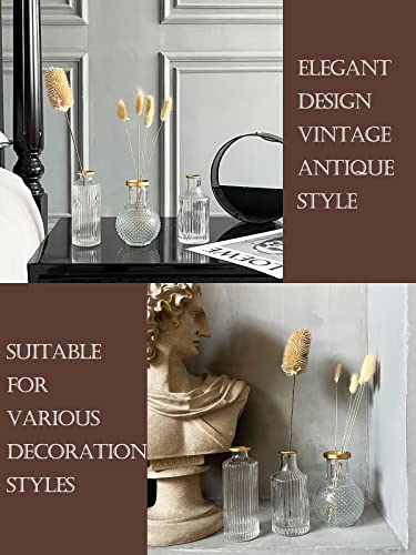 DN DECONATION 6Pcs Gold Rim Glass Bud Vases in Bulk, Gold Small Stem Bud Vase for Flowers Bulk Glass Vases Centerpiece for Tables Wedding Home Flower Decor