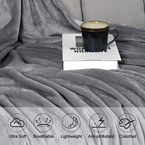 David's Home Fleece Queen Blanket,Ultra Soft More Durable Lightweight Velvety Bed Blanket,Lint-Free& No Pilling,300GSM All Season Luxury Plush Cozy Blanket with Wider Stitched Border,90"x90",Dark Grey