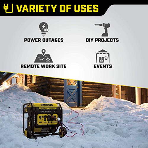 Champion Power Equipment 100519 6250-Watt Open Frame Inverter with Quiet Technology